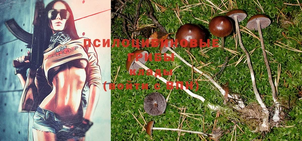 хмурый Тихвин