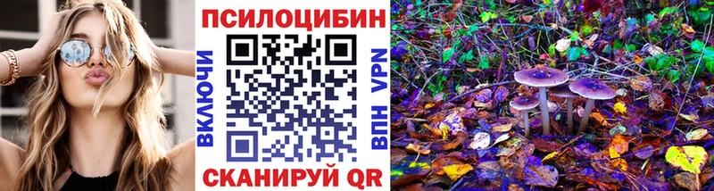Галлюциногенные грибы Psilocybe  Купить где  Старая Купавна 